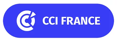 Audit CCI TPE cybercriminalité